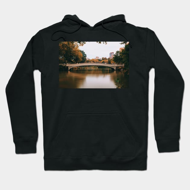 New York Central Park 1 Hoodie by igjustin